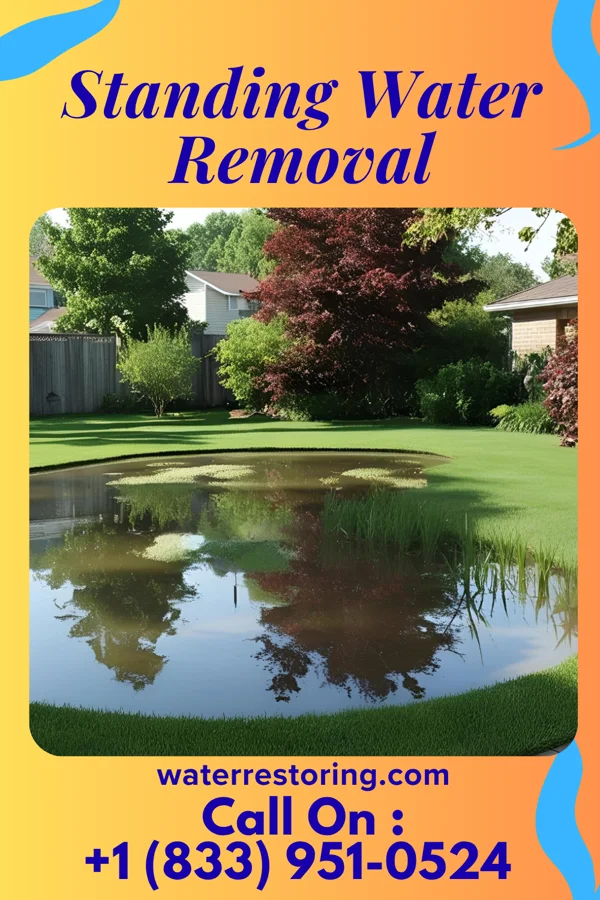 Standing Water Removal in Summerville, GA